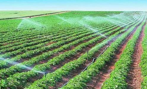 大鸡巴肏欧美女人农田高 效节水灌溉